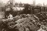 Um trem de carga, com milhares de cachos de banana ao lado, enquanto homens estão colocando as bananas dentro da locomotiva.