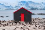 Foto de um chalé antártico no Arquipélago de Port Lockroy Palmer com colônia de pinguins gentoo.