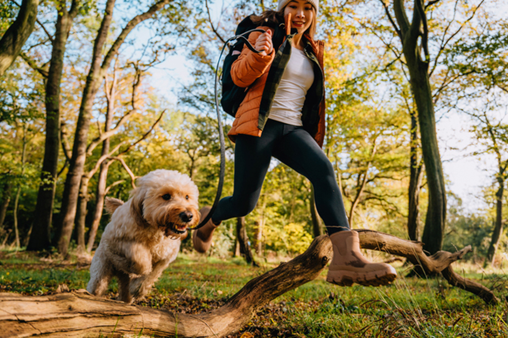 Cinco maneiras de ficar mais saudável (e feliz) com seu animal de estimação