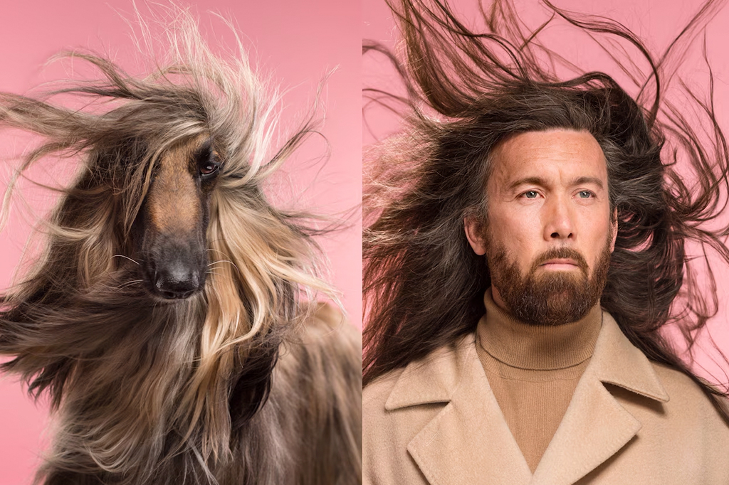 Entenda o motivo pelo qual alguns cães se parecem com seus donos