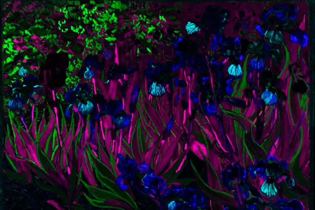 2511-flores-de-van-gogh–layout_site(3) Espectroscopia de fluorescência de raios X de íris.