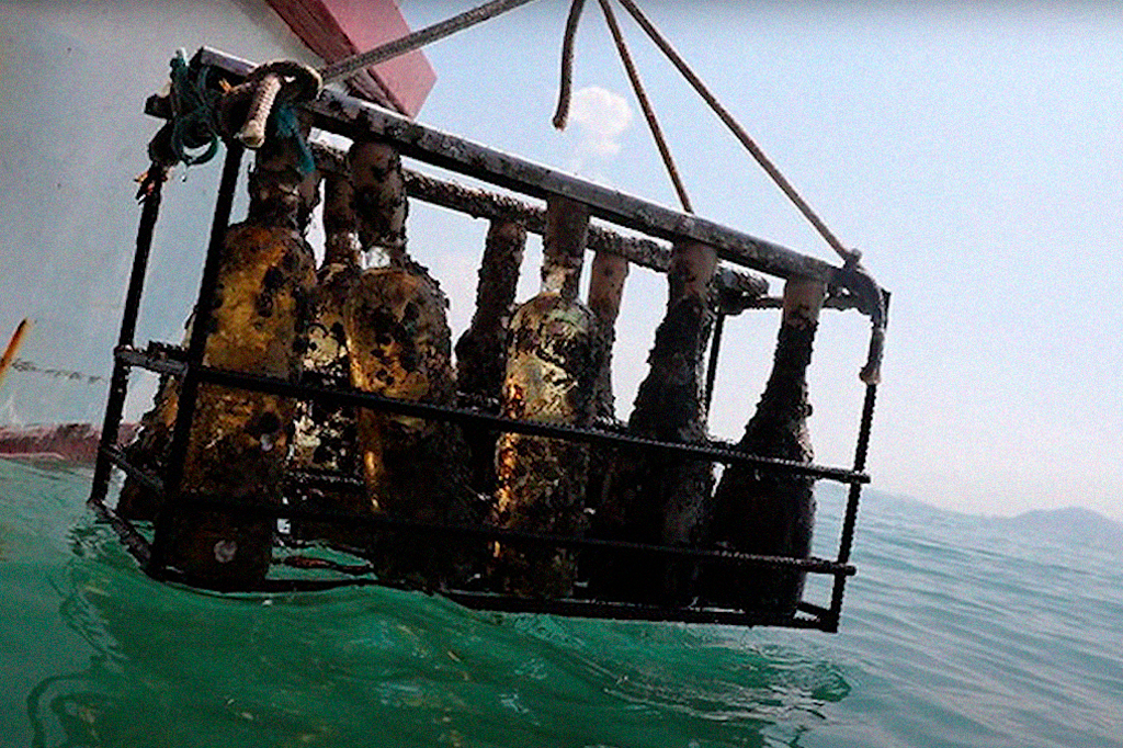 Adega submarina: conheça a moda luxuosa de envelhecer vinhos no fundo do mar