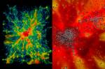 Uma pequena amostra das simulações da Frontier revela a evolução do universo em expansão em uma região contendo um aglomerado massivo de galáxias de bilhões de anos atrás até os dias atuais (esquerda). As áreas vermelhas mostram gases mais quentes, com temperaturas atingindo 100 milhões de Kelvin ou mais. Ampliando (direita), partículas rastreadoras de estrelas rastreiam a formação de galáxias e seu movimento ao longo do tempo.