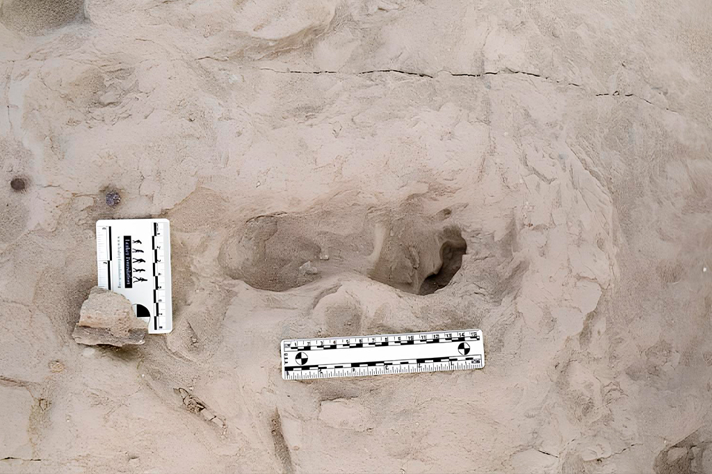 Pegadas revelam que espécies diferentes de hominídeos viveram na mesma época