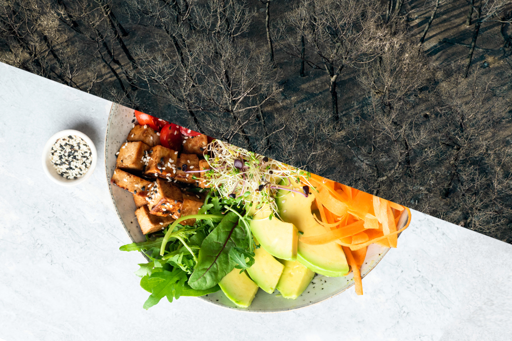 Por que você deveria se preocupar com o futuro do seu prato