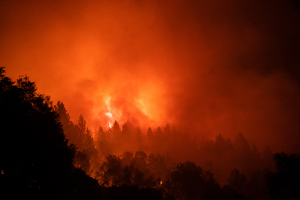 Observatório calcula que 2024 será o ano mais quente já registrado