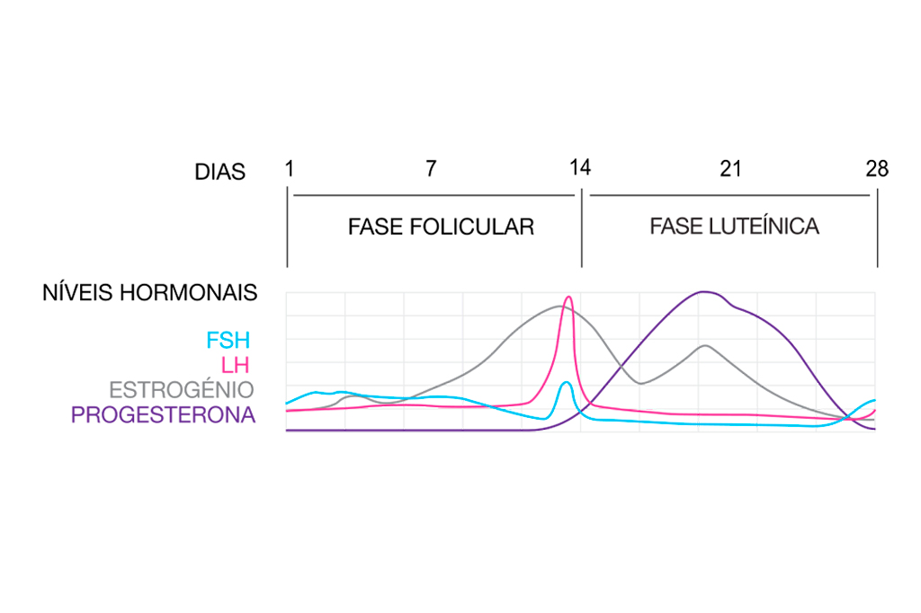 Gr&aacute;fico do ciclo menstrual.