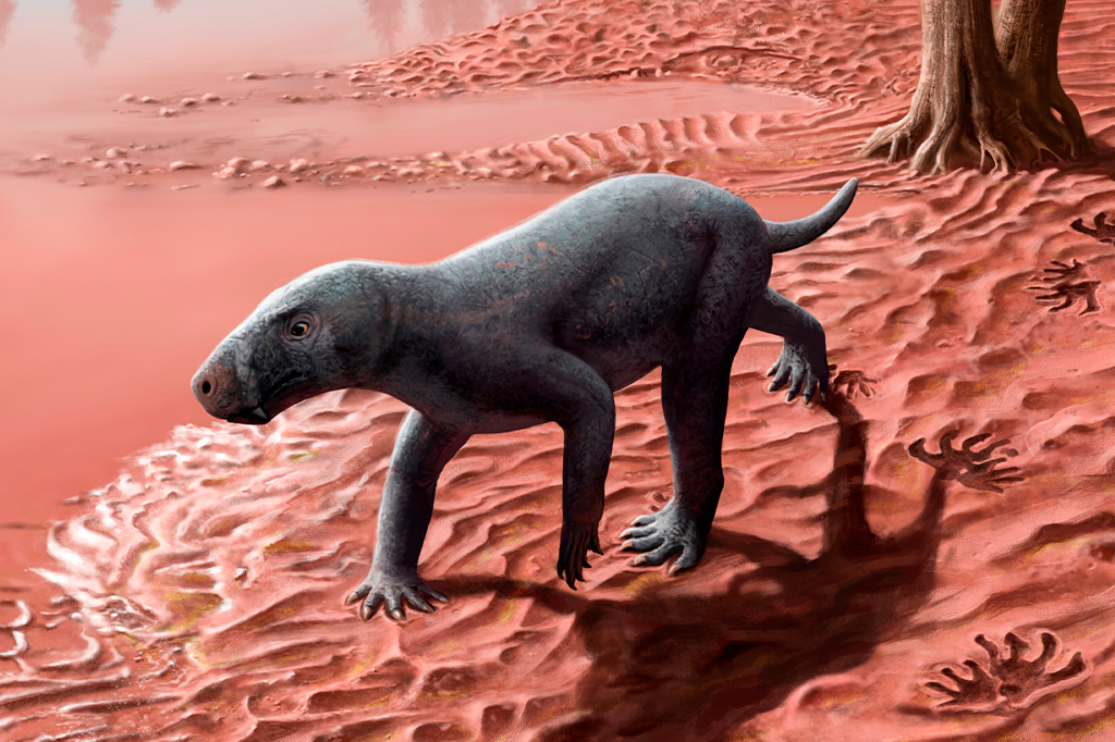 Ancestral mais antigo dos mamíferos e primeiro predador com dentes de sabre é descoberto