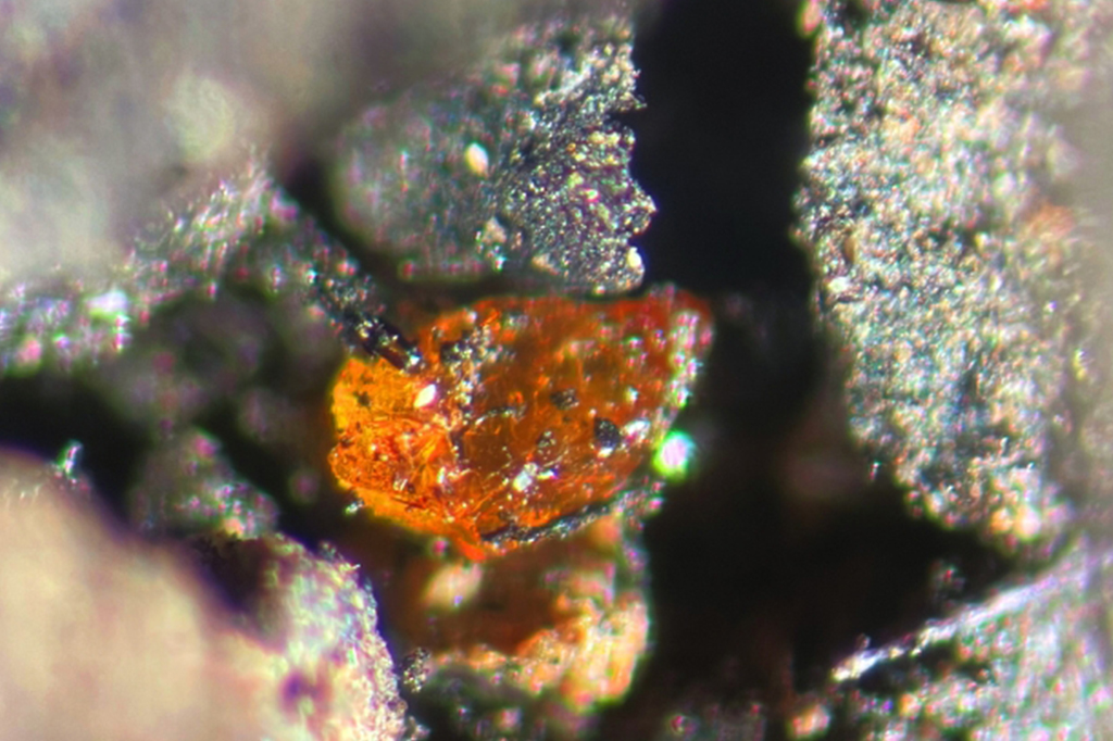 Âmbar é encontrado na Antártida pela primeira vez. Entenda o que isso revela