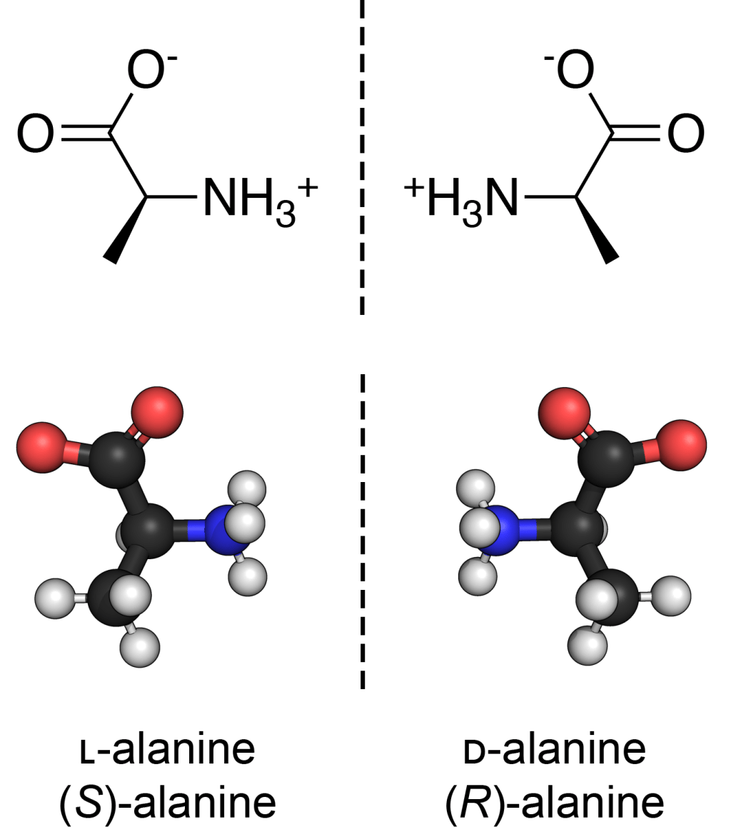 (S)-Alanine (left) and (R)-alanine (right) in zwitterionic form at neutral pH