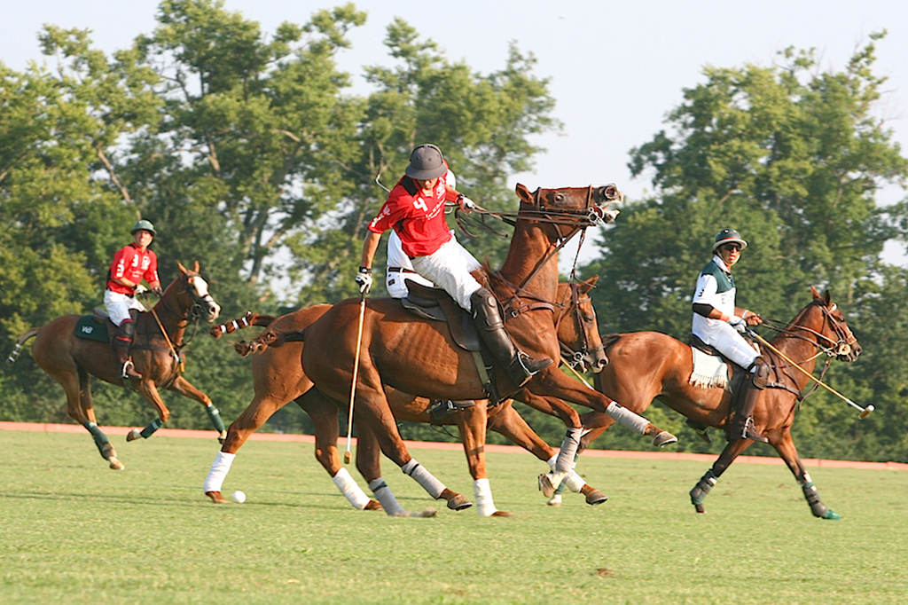 0801-cavalos-layout_site1 Foto de jogo de Polo no Kentucky Horse Park