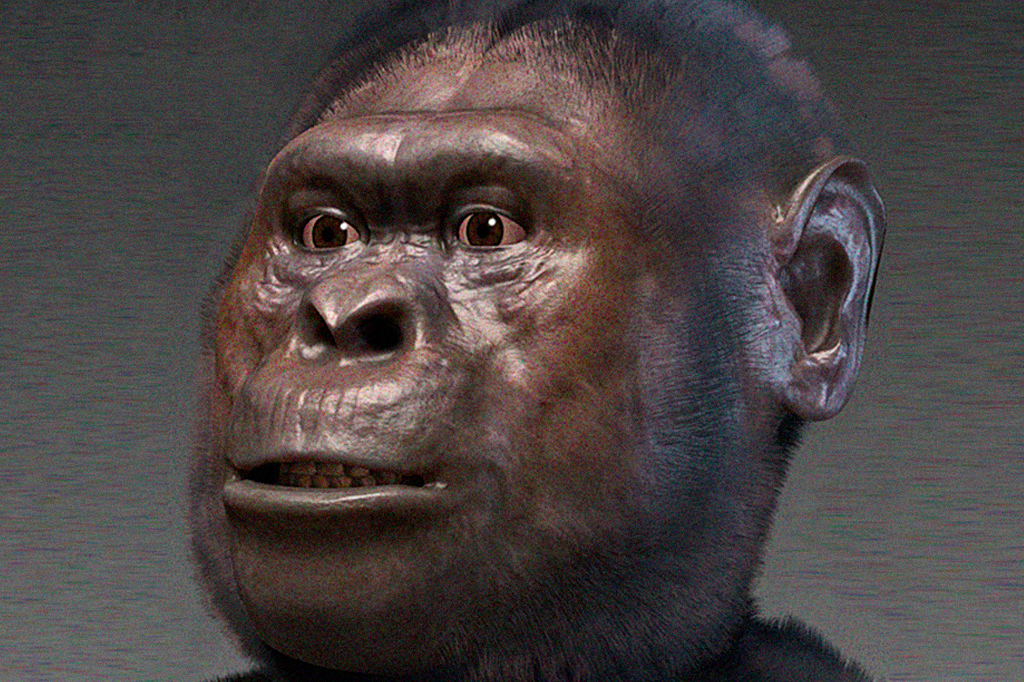 Ancestrais dos humanos há 3 milhões de anos eram vegetarianos