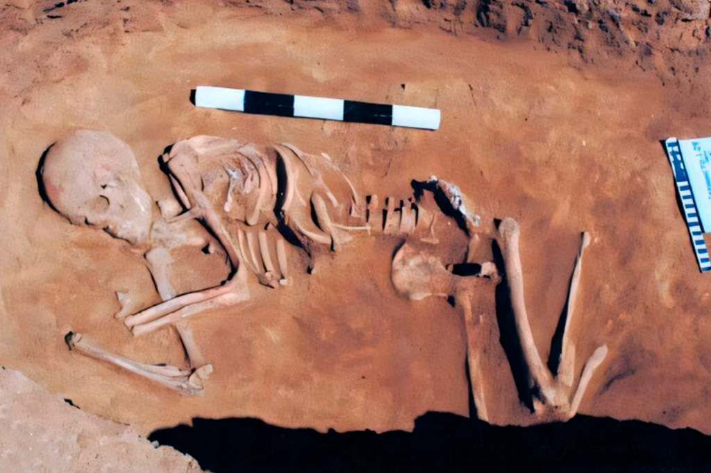 DNA de 435 ossadas revela elo perdido na história das línguas indo-europeias