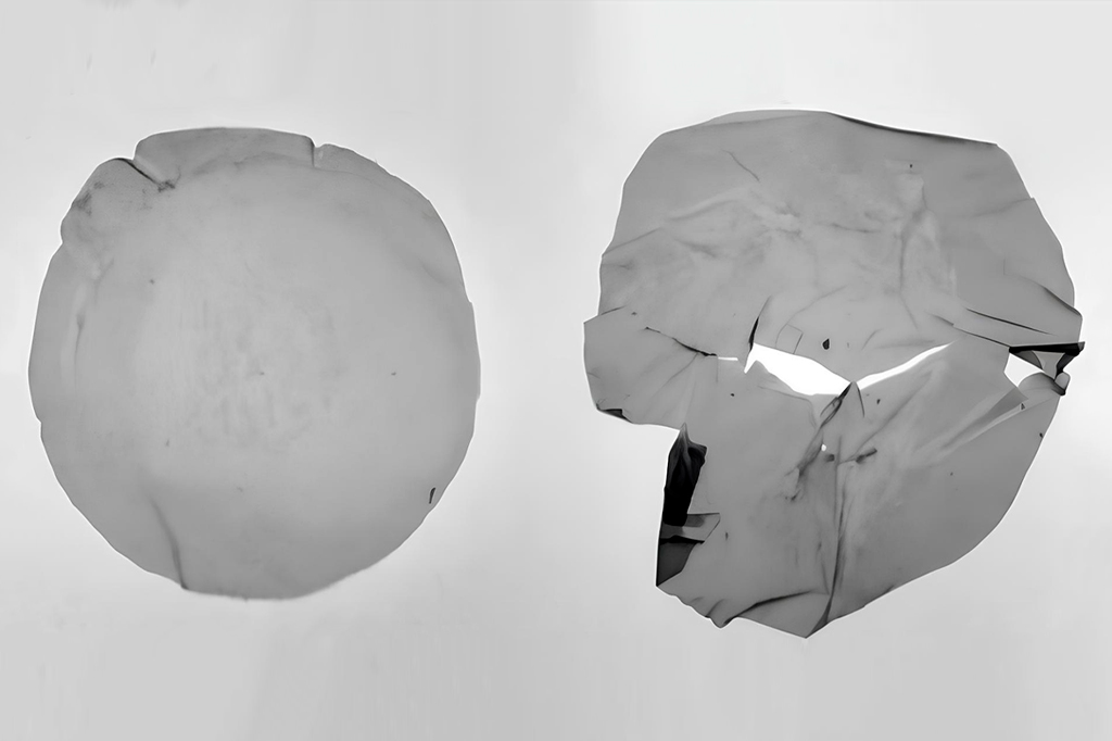 Pesquisadores brasileiros descobrem bactéria que transforma lixo em bioplástico