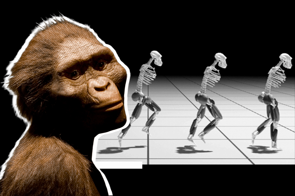 Lucy era capaz de correr, mas bem devagarzinho. Veja o vídeo.