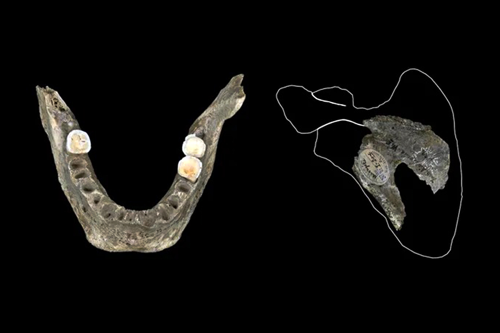Na Europa, canibais comiam os cérebros de inimigos mortos há 18 mil anos