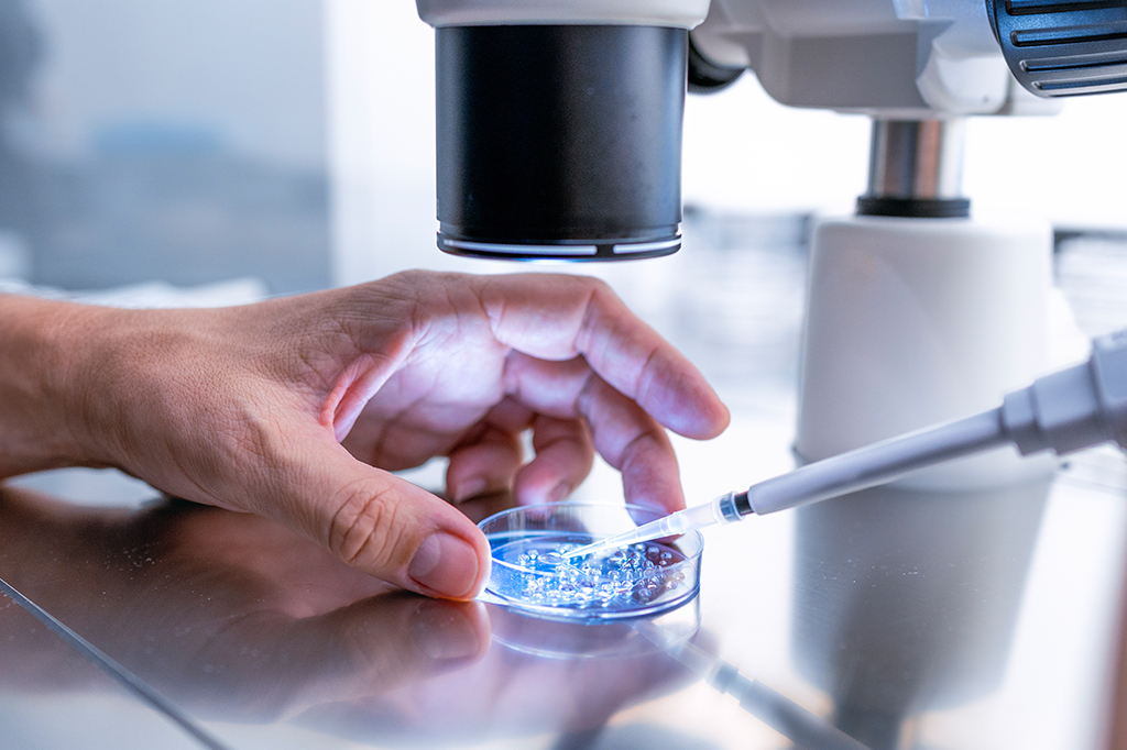 Fotografia de laboratório, mão segurando placa de petri de vidro.