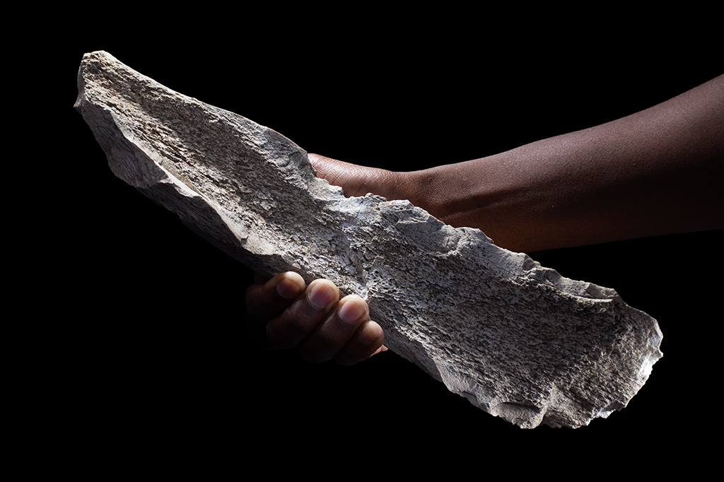 Cientistas encontram ferramentas de 1,5 milhão de anos feitas com ossos de elefantes e hipopótamos