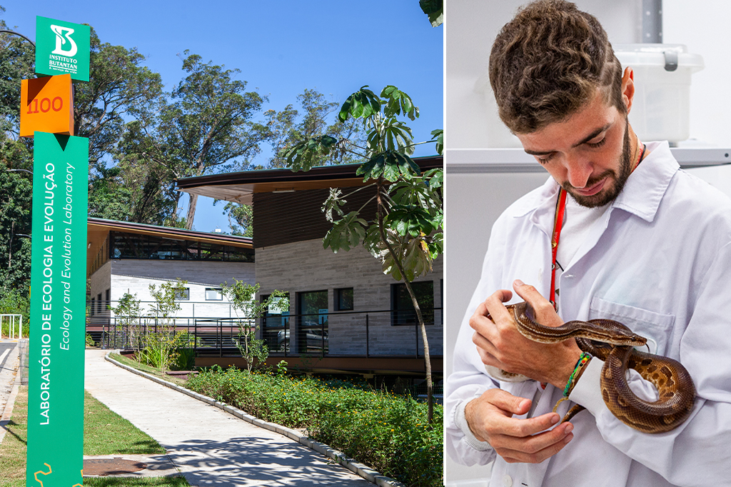 Butantan inaugura laboratório de preservação das serpentes da Ilha das Cobras