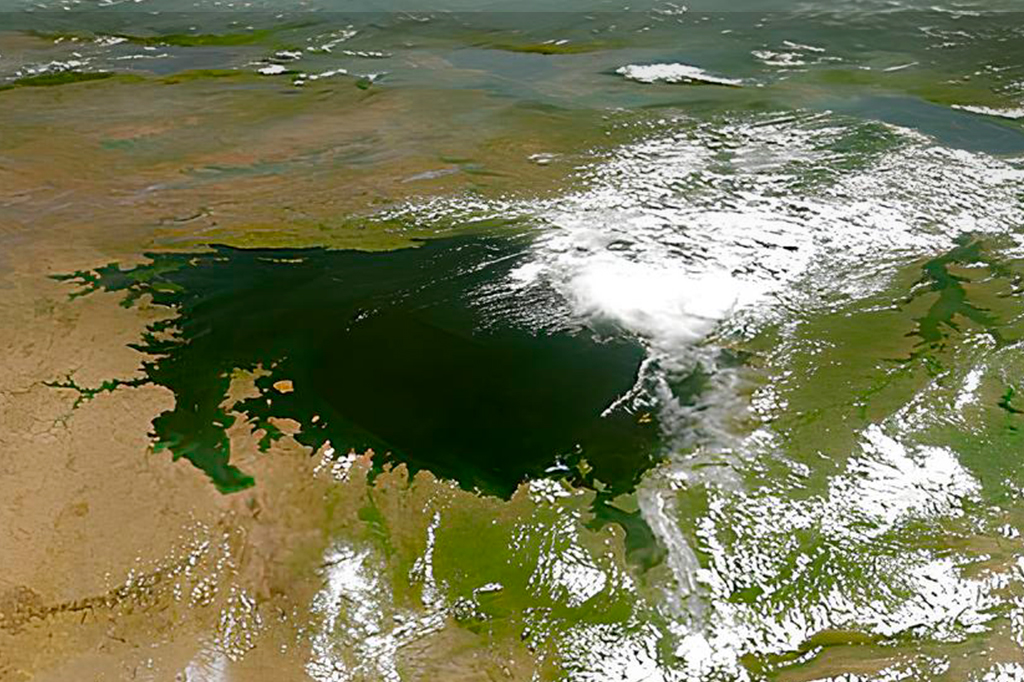 O Lago Vitória está ficando verde – e há bactérias mortais por trás disso