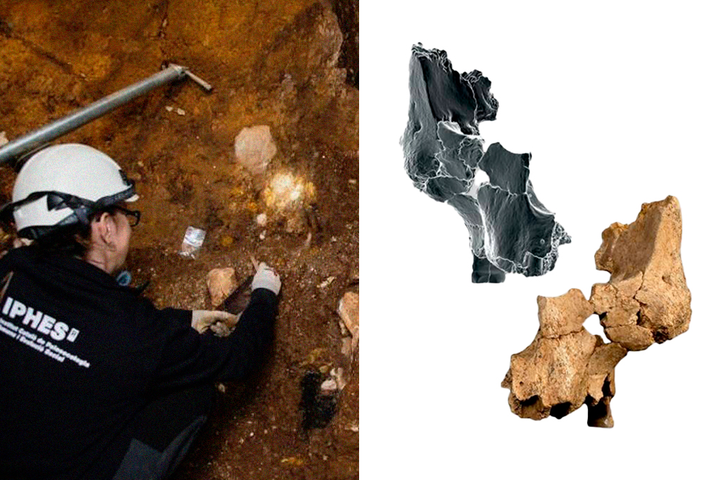 Fotografia dos arqueólogos escavam perto da caverna no sítio Sima del Elefante, ao lado os fragmentos fossilizados do crânio que foram encontrados.
