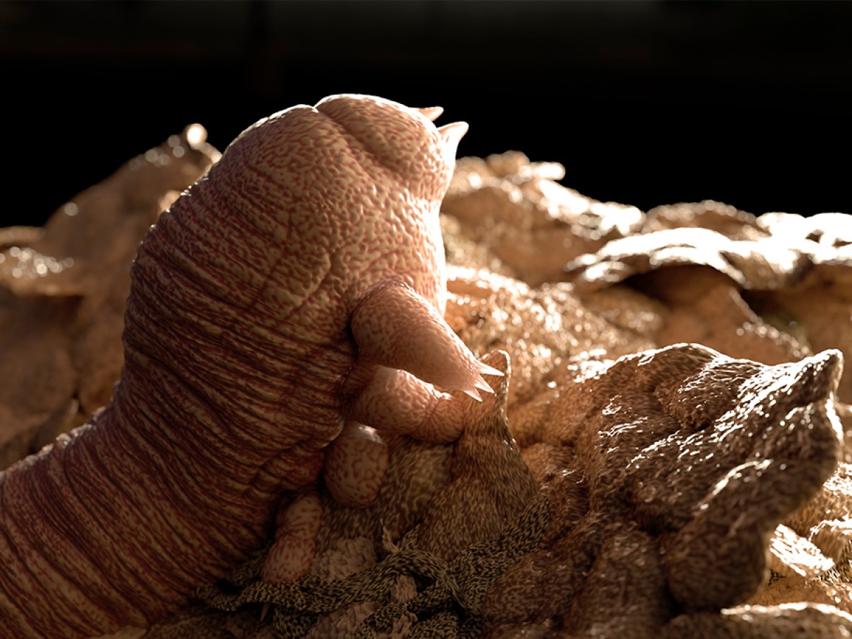 Tem algo morando no seu rosto neste exato momento — e não, não é acne! contioutra.com - Tem algo morando no seu rosto neste exato momento — e não, não é acne!