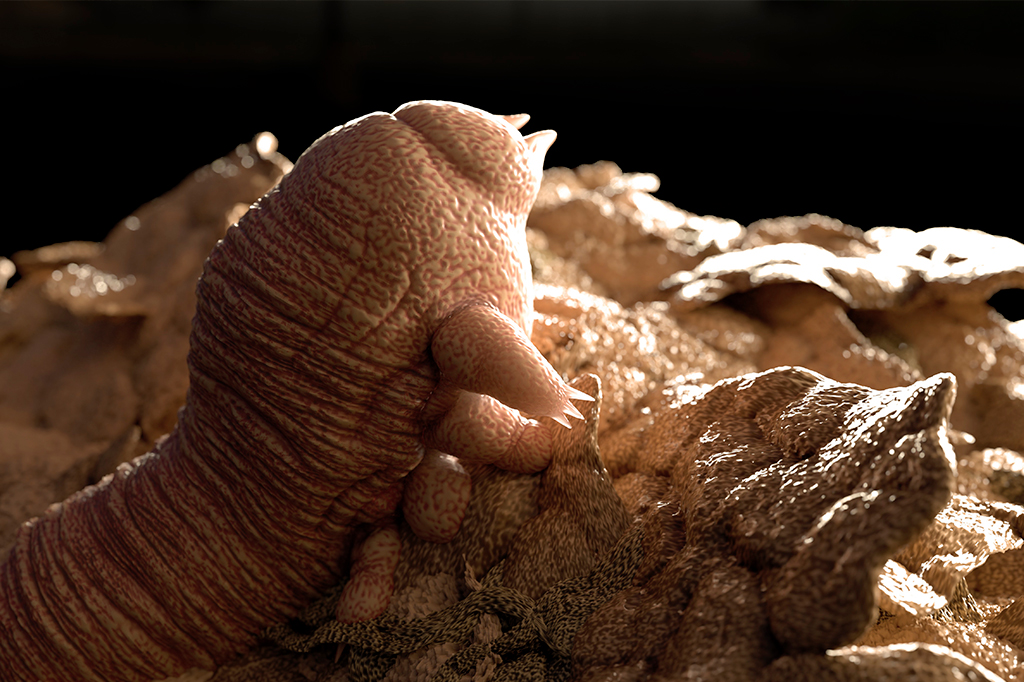 Ilustração de um Demodex folliculorum - ácaro parasita nos cílios de um olho humano.