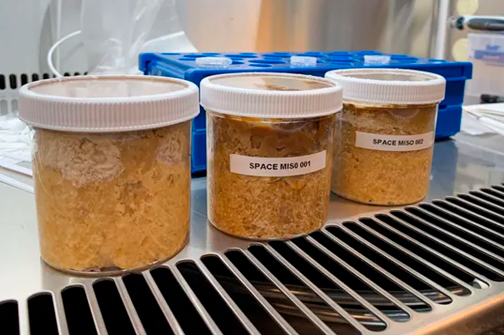 Astronautas fizeram missô no espaço, a primeira comida fermentada em órbita