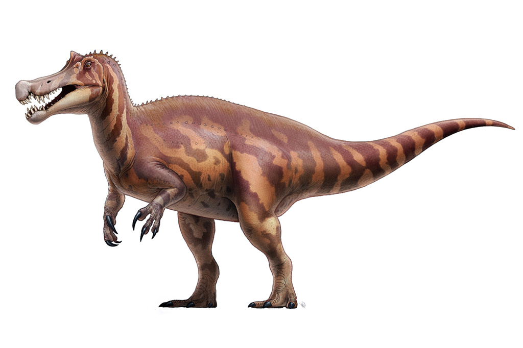 Ilustração da reconstrução completa do corpo do Irritator.