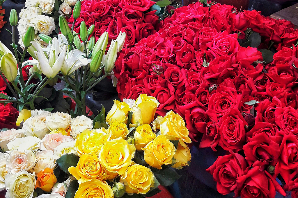 Fotografia de buques de flores rosa vermelhas e amarelas.