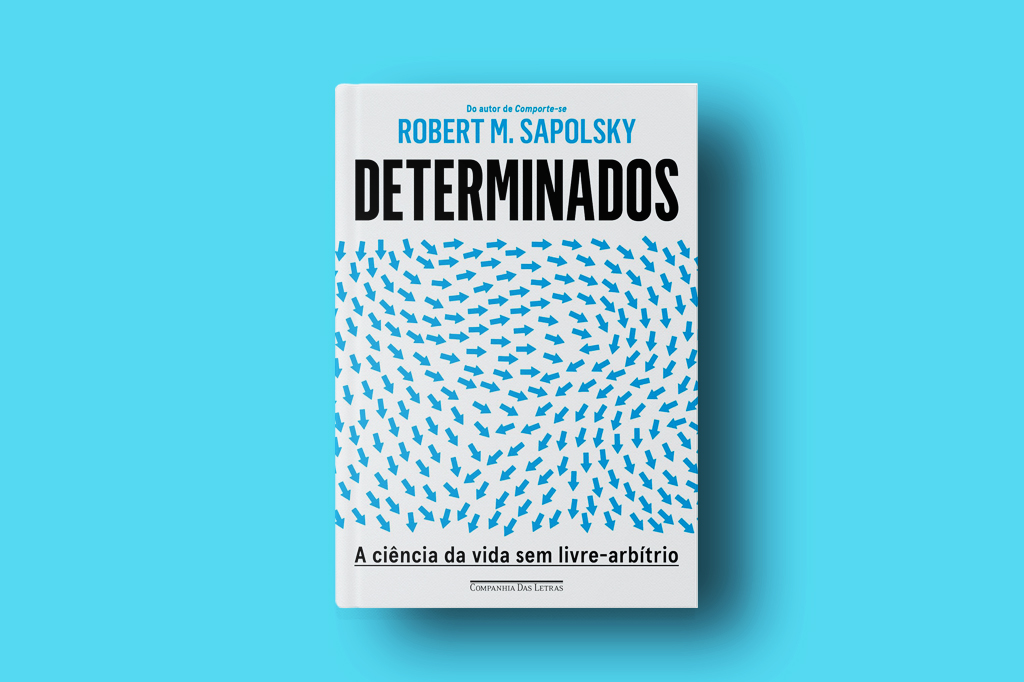Imagem, em fundo azul, do livro Determinados.