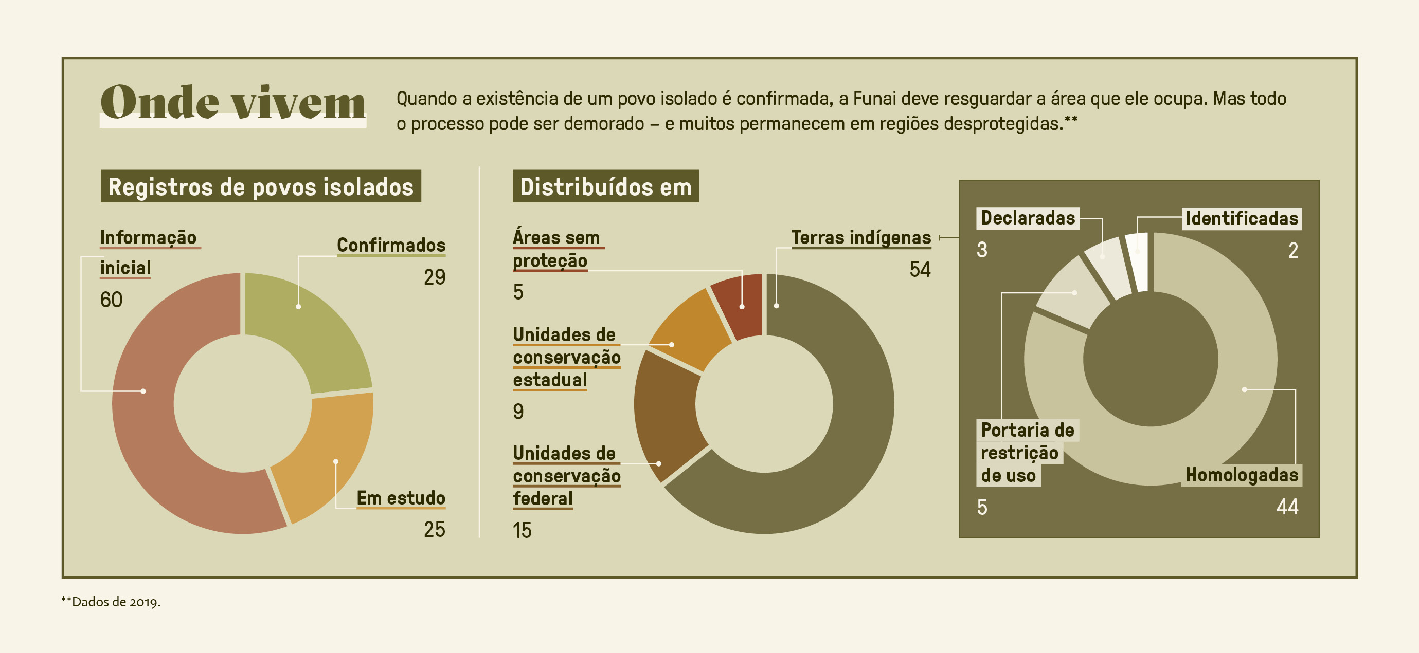 Gráfico, em fundo verde claro, com os dados recentes sobre os povos isolados da Amazônia.