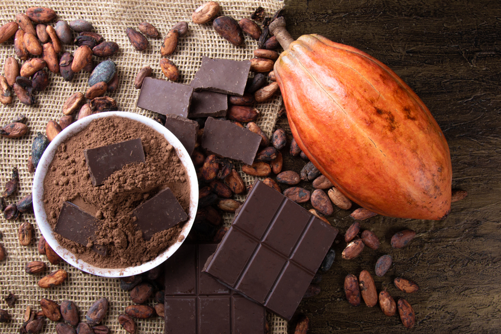 Imagem de um cacau ao lado de pedaços de chocolate, uma pequena vasilha com cacau em pó e grãos cru de cacau.