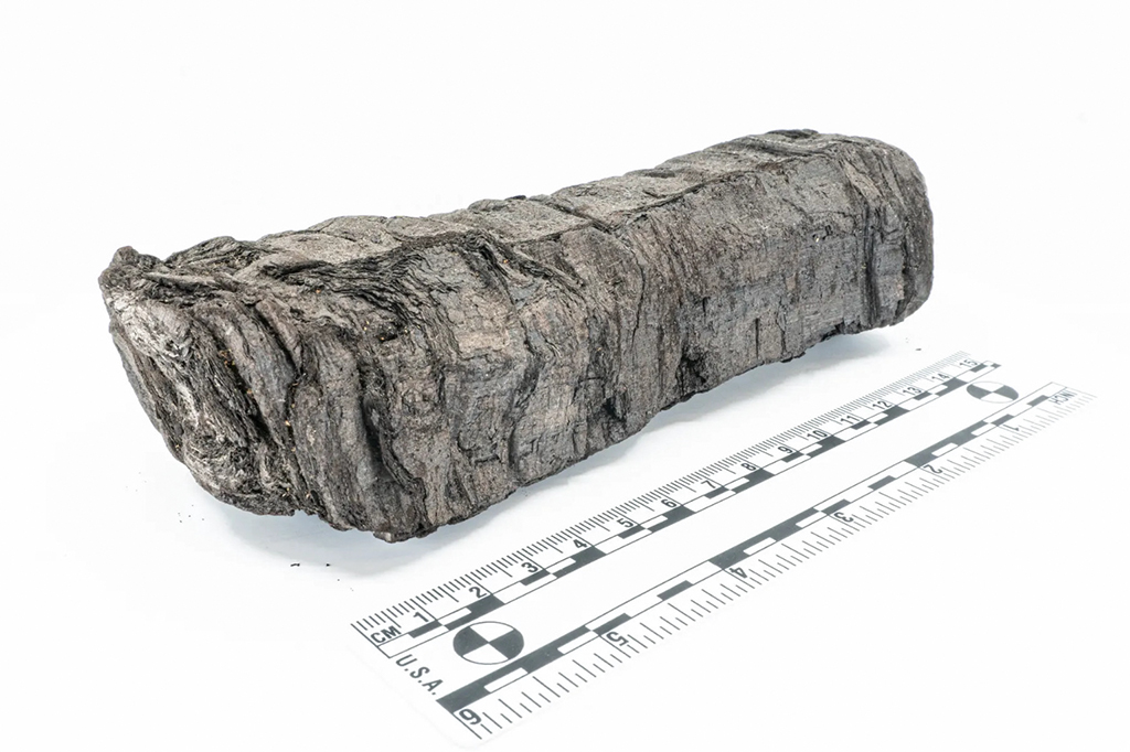 Pesquisadores descobrem título e autor de manuscrito carbonizado pelo Vesúvio há 2 mil anos