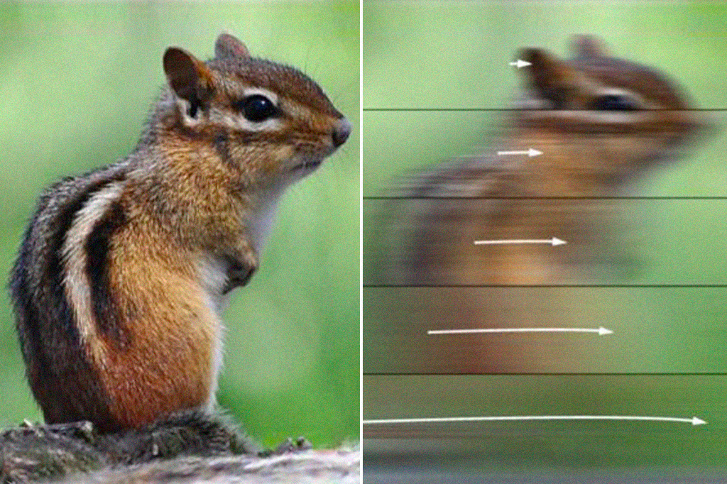 Quão rápido uma coisa precisa se mover para ficar invisível aos olhos humanos?