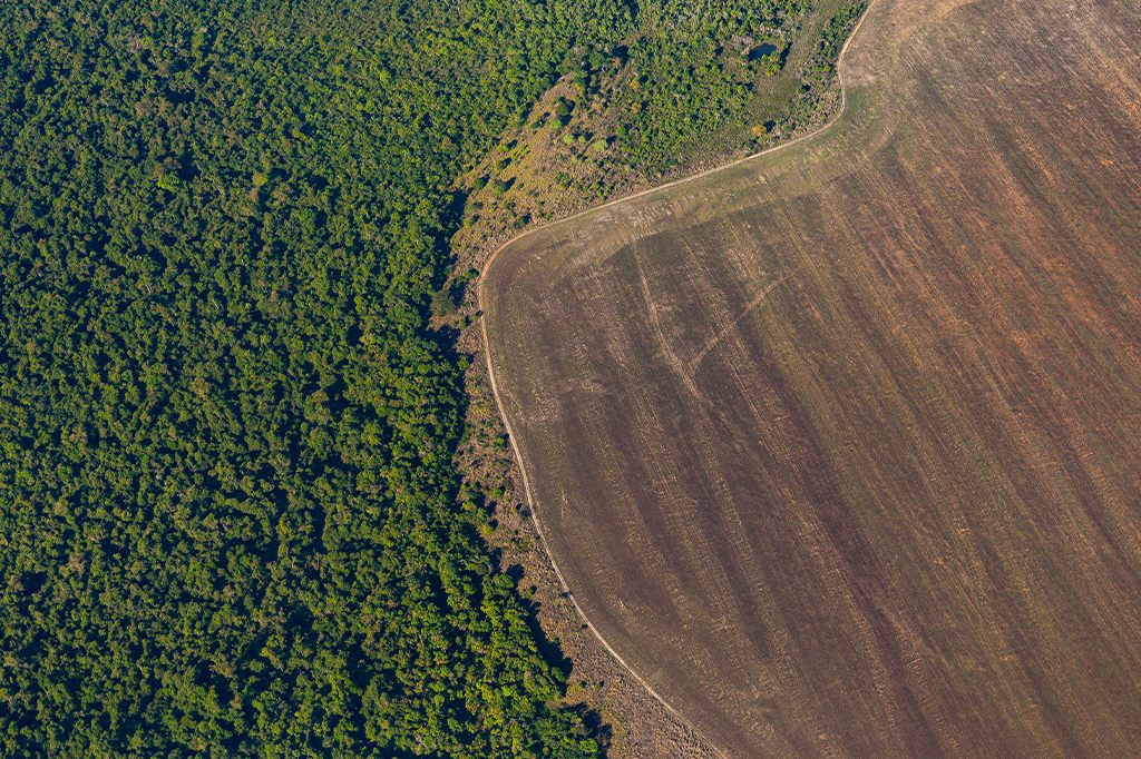 Fotografia da vista aérea do desmatamento na Amazônia causado pela expansão de áreas agrícolas.