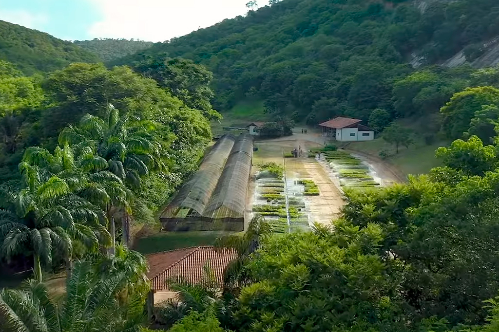 Fotografia da Terra Aimorés.