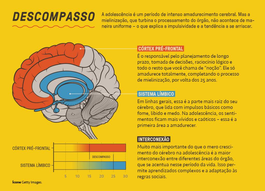 SI_475_Adolescência_6 Gráfico, em fundo amarelo, explicando as transformações do cérebro na adolescência.