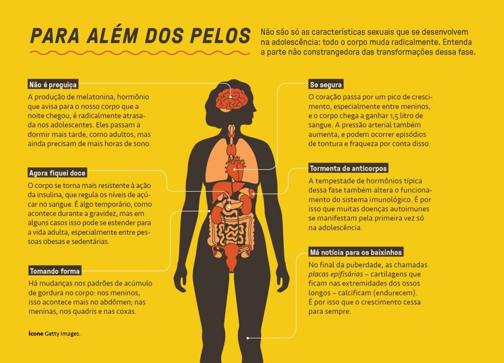 SI_475_Adolescência_7 Gráfico, em fundo amarelo, explicando a transformação do corpo na adolescência.