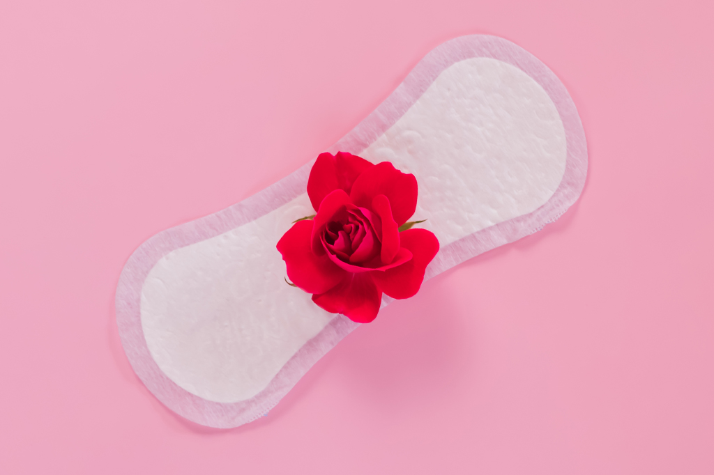 Imagem, em fundo rosa, de um absorvente íntimo feminino com uma rosa em cima.