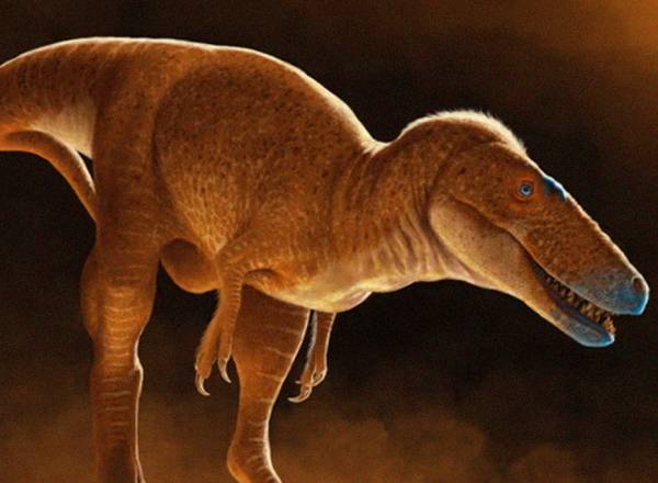 Ilustração da nova espécie, Khankhuuluu mongoliensis , que significa "Príncipe dos Dragões da Mongólia".