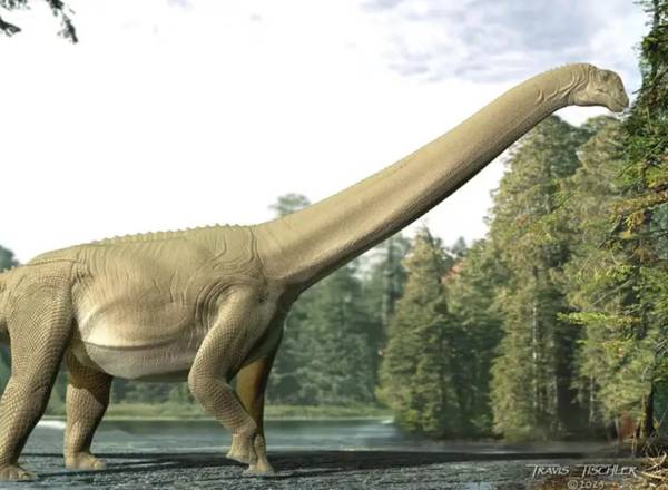 Impressão artística do Diamantinasaurus matildae, um dinossauro saurópode que viveu há cerca de 94 milhões de anos