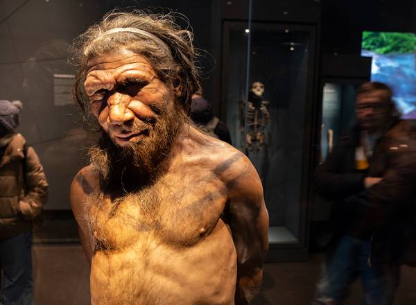 Fotografia de uma homem neandertal.