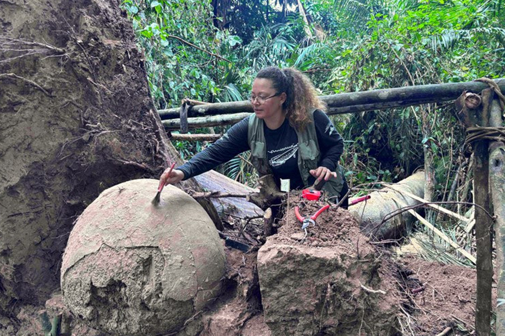 Fotografia da arqueóloga analisa as urnas funerárias no sítio arqueológico Lago do Cochila, no Amazonas.