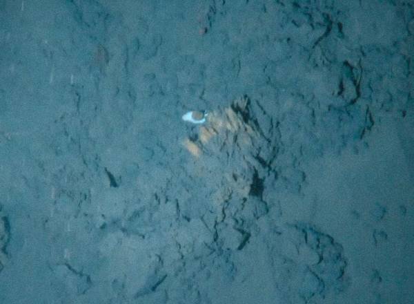 Fotografia das Estrias, sulcos e depósitos de lama resultantes da recuperação da âncora eram visíveis no substrato do fundo do oceano.