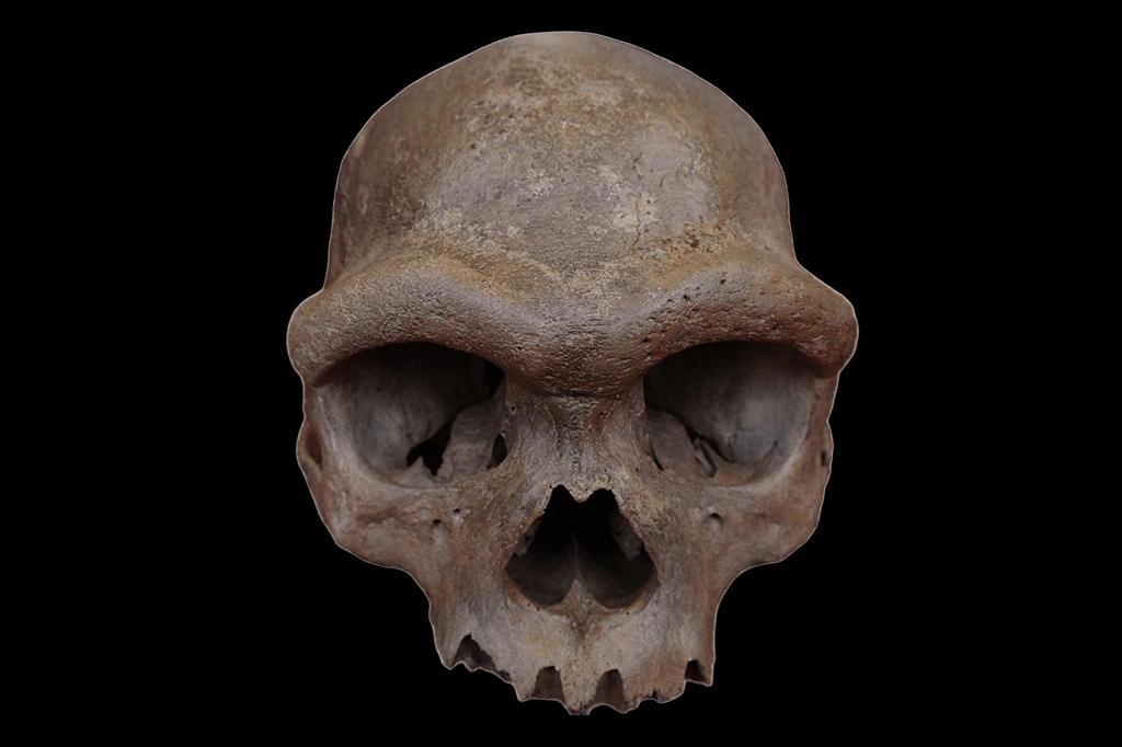 “Homem-dragão”: crânio revela aparência dos denisovanos, primos extintos dos humanos