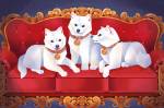 Ilustração, colorida, de três cachorros brancos em cima de um sofá vermelho.