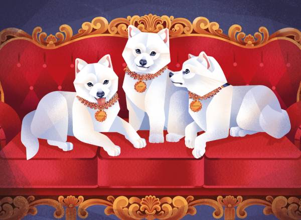 Ilustração, colorida, de três cachorros brancos em cima de um sofá vermelho.