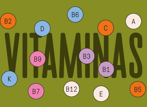 Ilustração, em fundo verde oliva, com círculos coloridos representando moléculas de vitaminas. Ao fundo, lê-se Vitaminas.