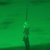 Imagem dos nematoides em ação utilizando substância fluorescente.
